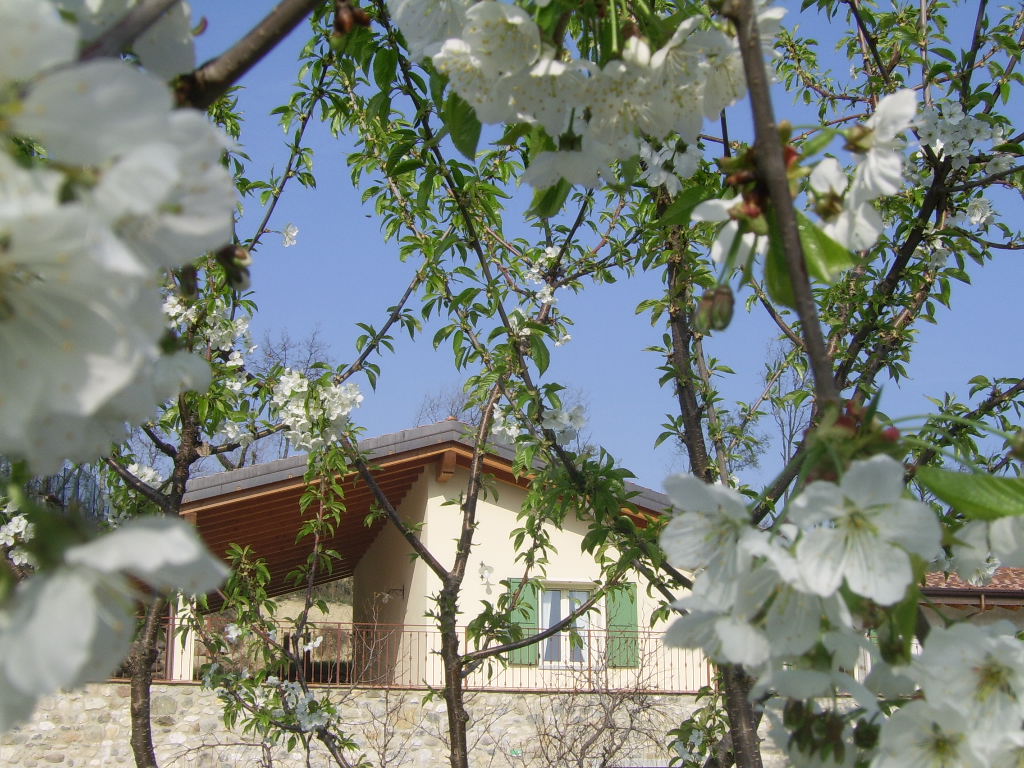 foto_fiori_2012_024