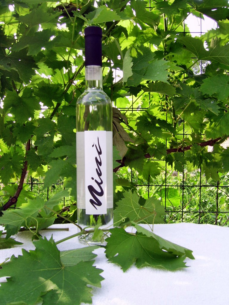 grappa